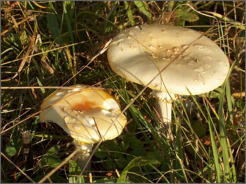 October 2006 12.JPG