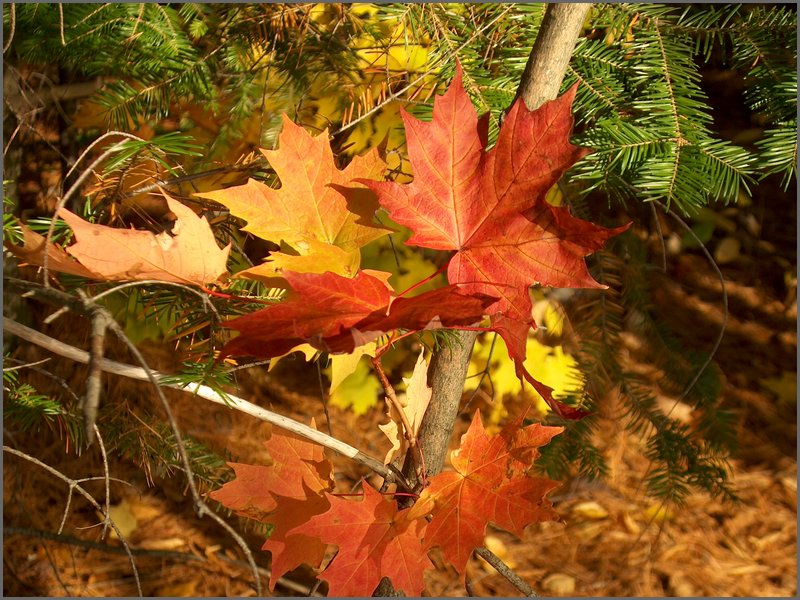 October 2006 24.JPG