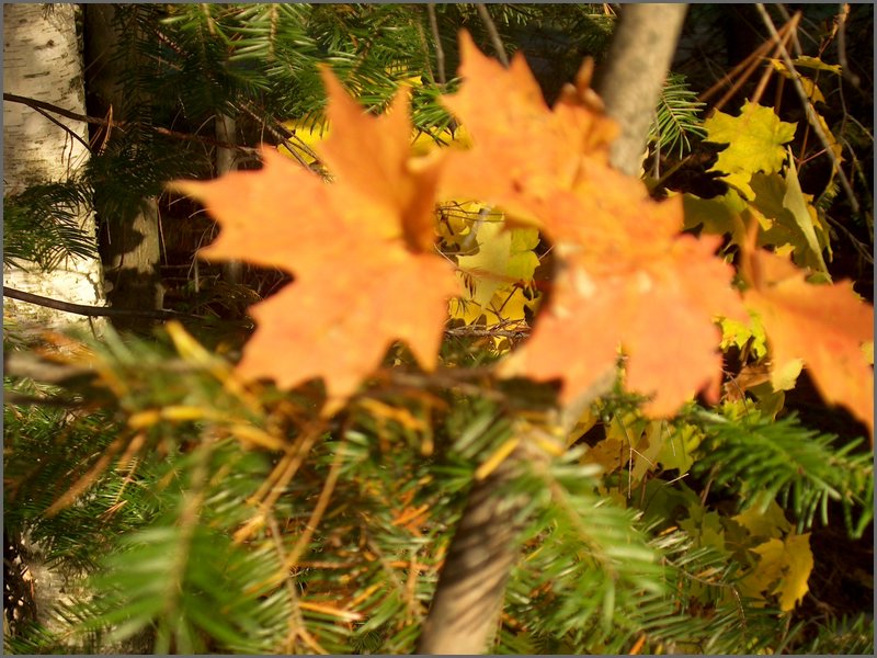 October 2006 25.JPG
