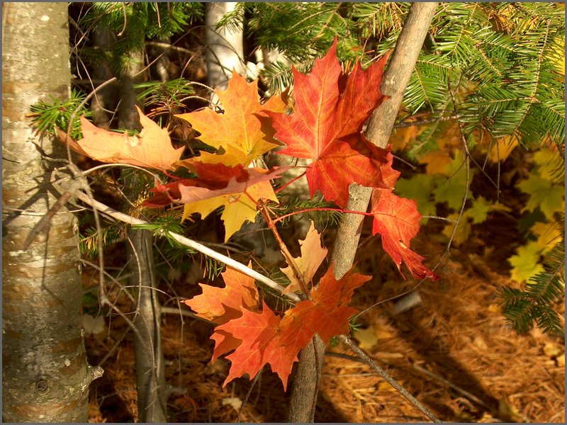 October 2006 26.JPG
