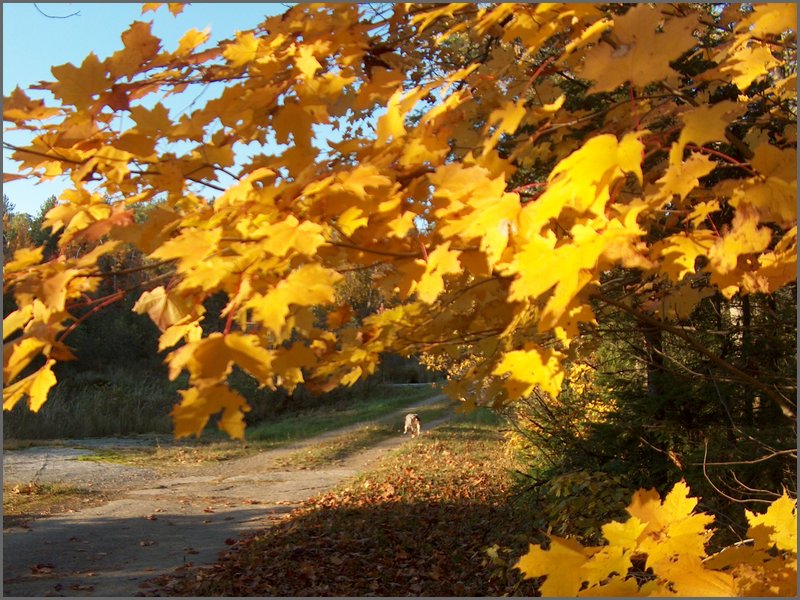 October 2006 33.JPG