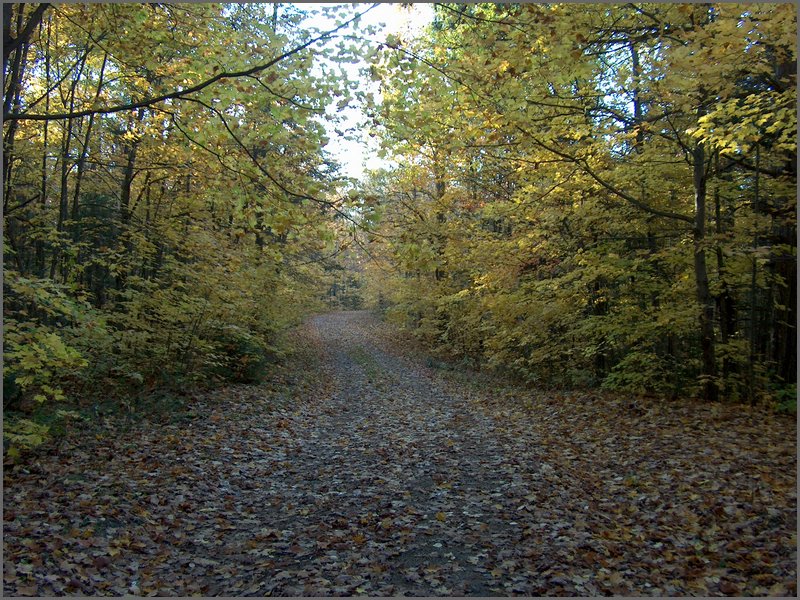 October 2006 42.JPG