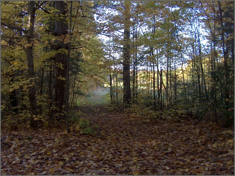 October 2006 43.JPG