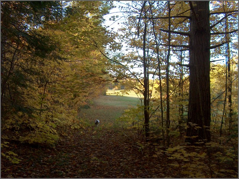 October 2006 44.JPG