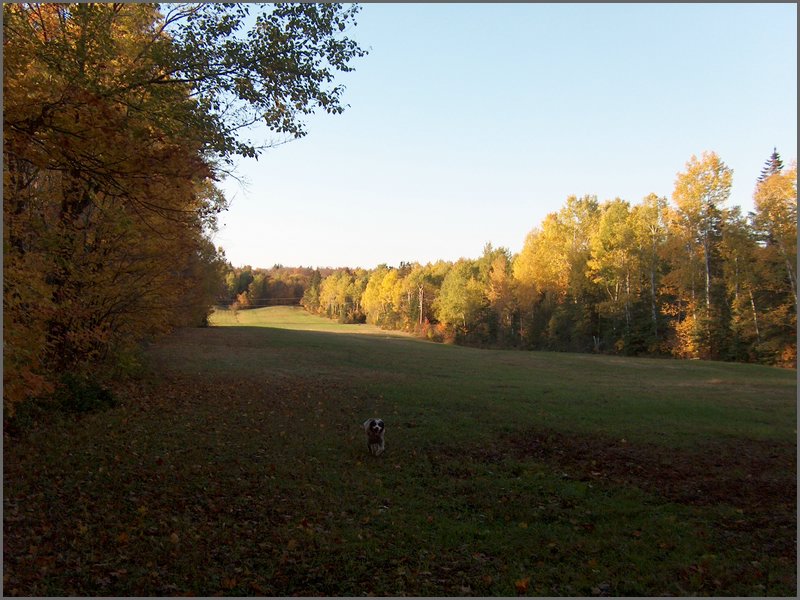 October 2006 46.JPG