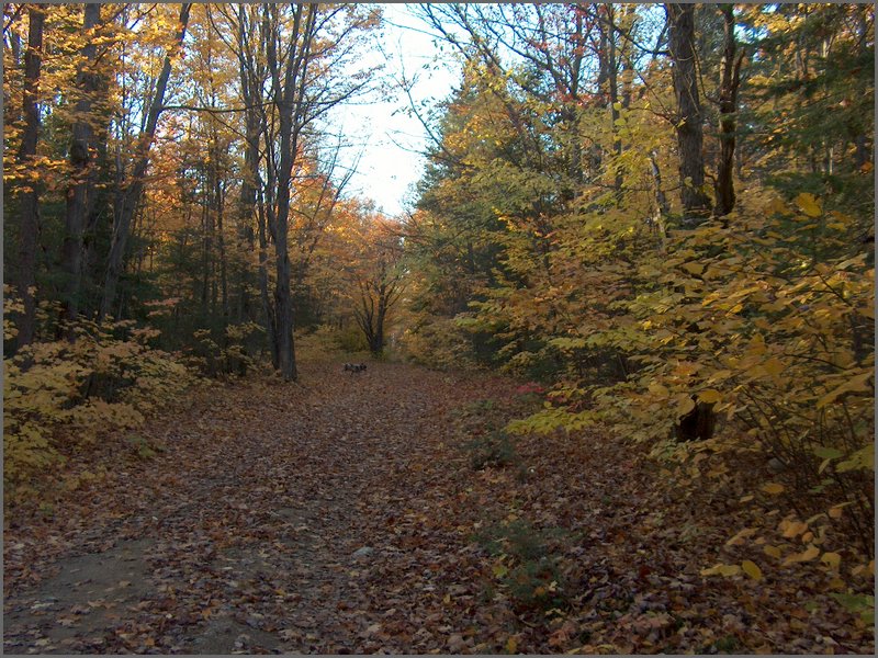 October 2006 47.JPG