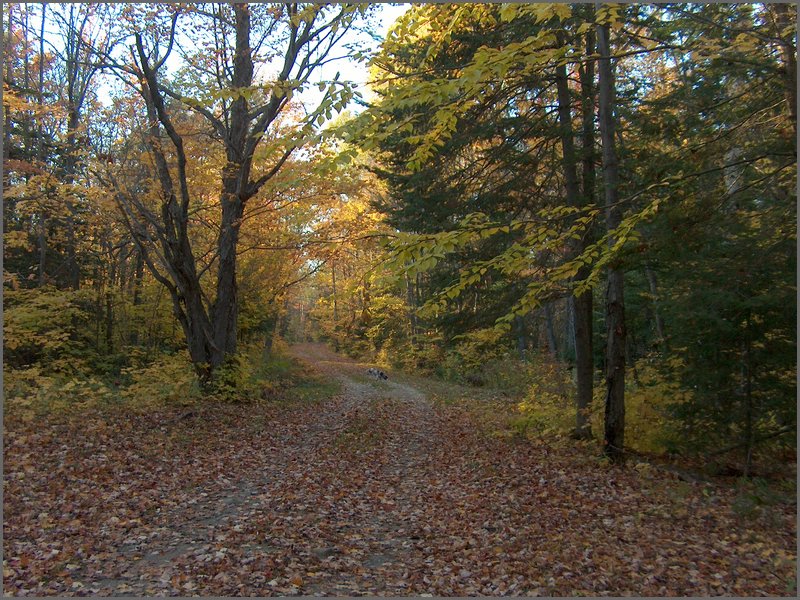 October 2006 48.JPG