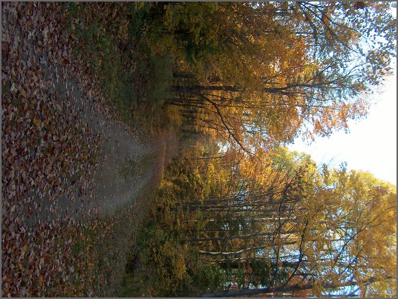 October 2006 49.JPG
