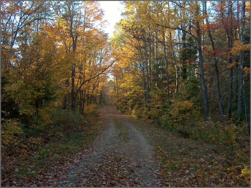 October 2006 50.JPG