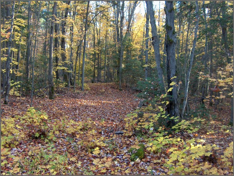 October 2006 51.JPG