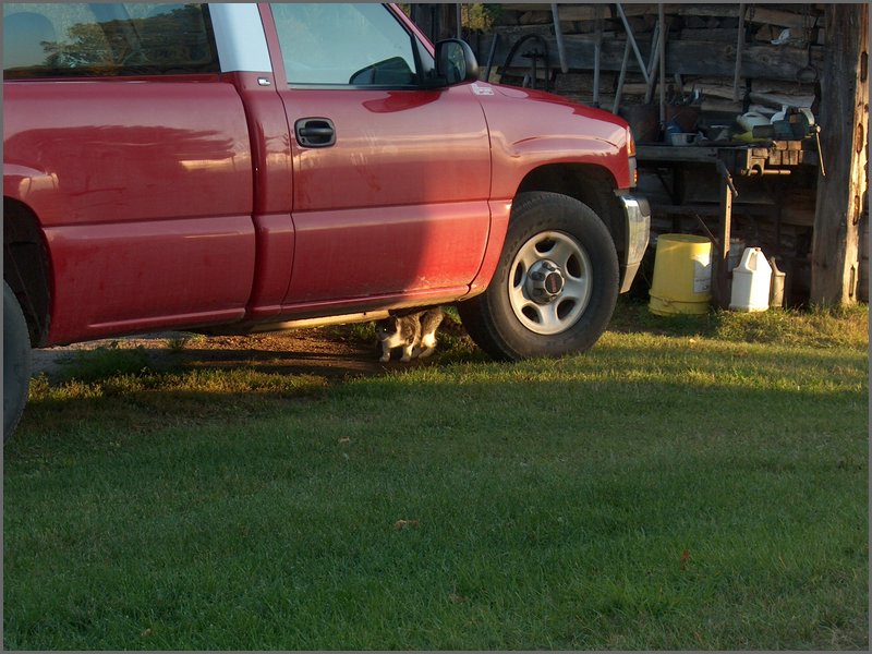 October 2006 68.JPG