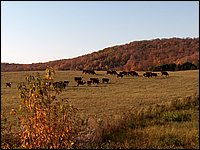 October 2006 02.JPG