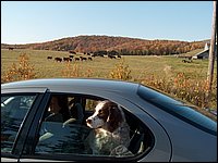 October 2006 03.JPG