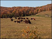 October 2006 05.JPG