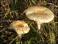 October 2006 12.JPG