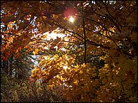 October 2006 17.JPG
