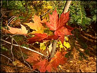 October 2006 24.JPG