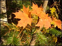October 2006 25.JPG