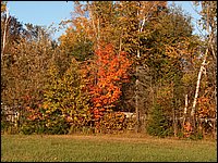 October 2006 36.JPG