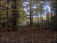 October 2006 43.JPG