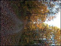 October 2006 49.JPG