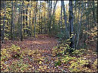 October 2006 51.JPG