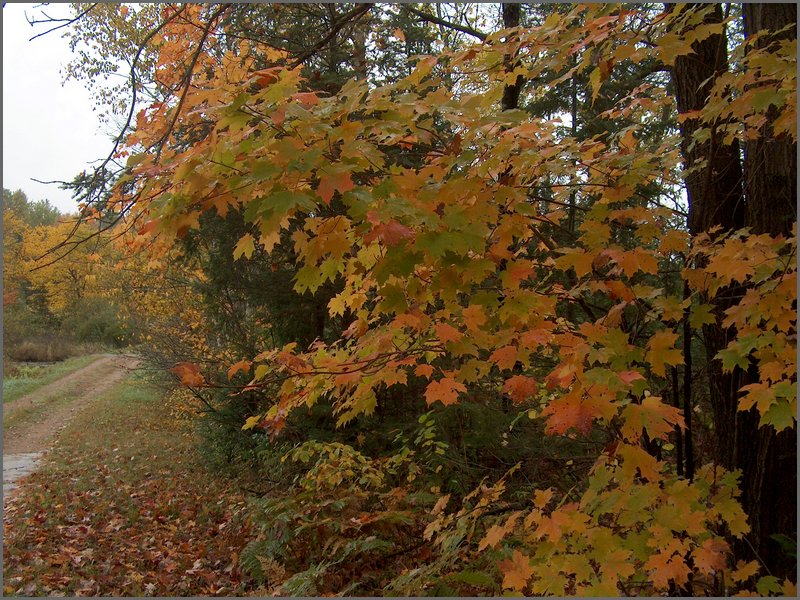 October_2007_06.jpg