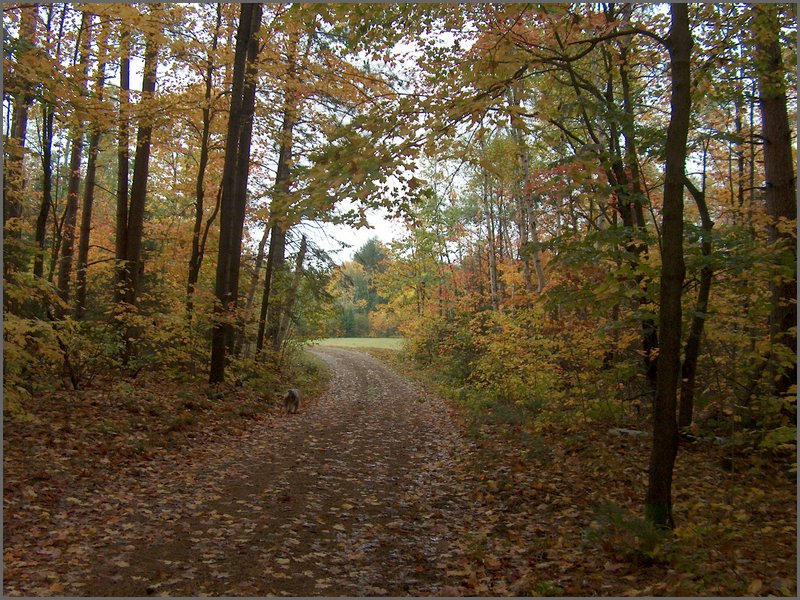 October_2007_19.jpg