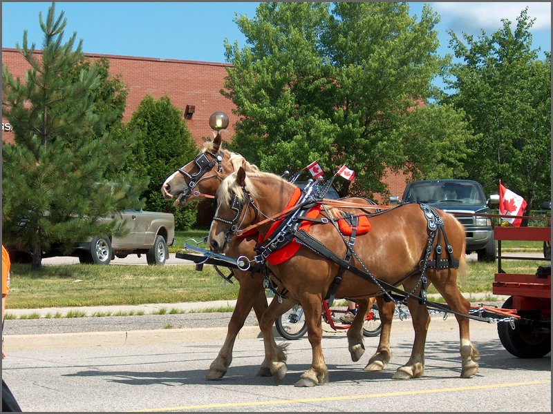 Powassan Parade 11.jpg