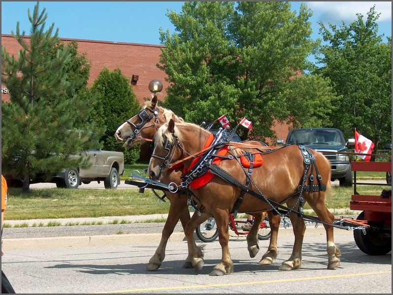 Powassan Parade 11.jpg