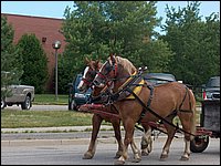 Powassan Parade 38.jpg