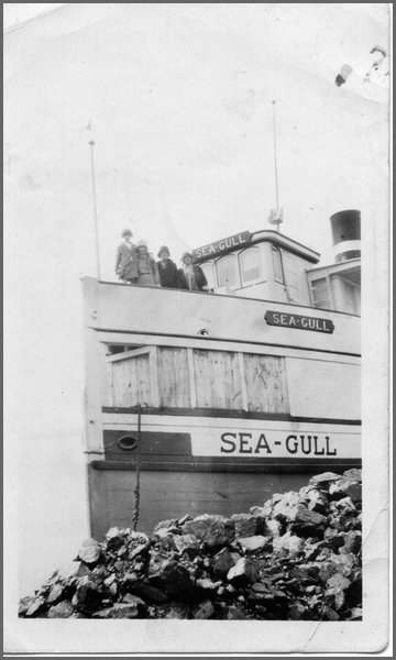 Sea-Gull-Lake Nipissing.jpg