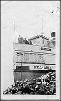 Sea-Gull-Lake Nipissing.jpg