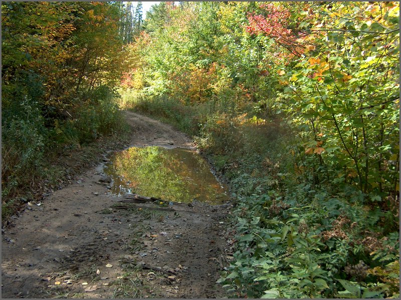 Hpim2637.jpg