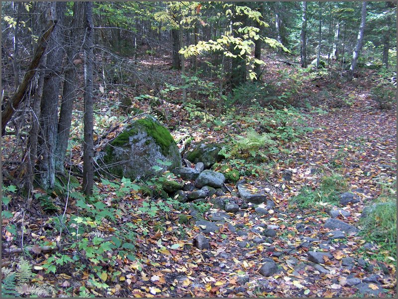Hpim2648.jpg