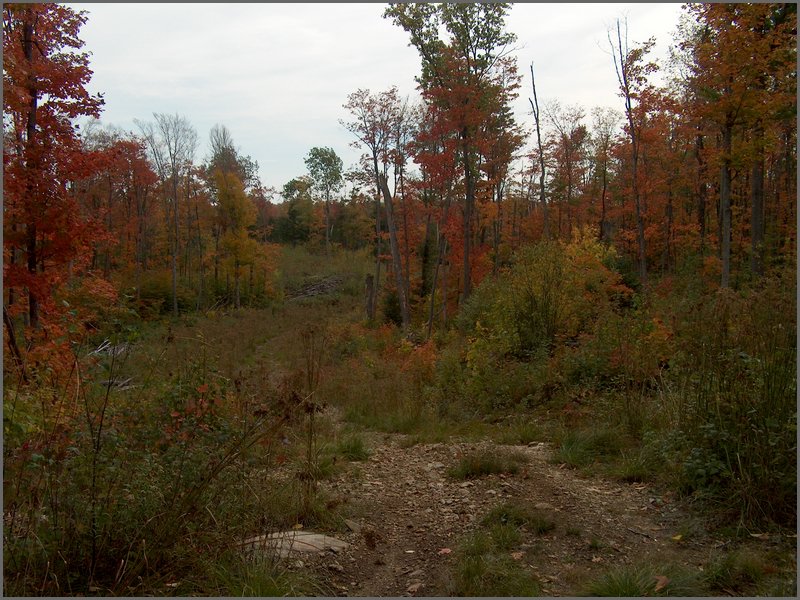 Hpim2675.jpg