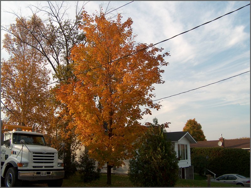 Powassan Oct 2006 01.jpg