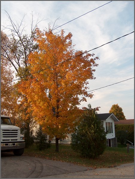 Powassan Oct 2006 02.jpg