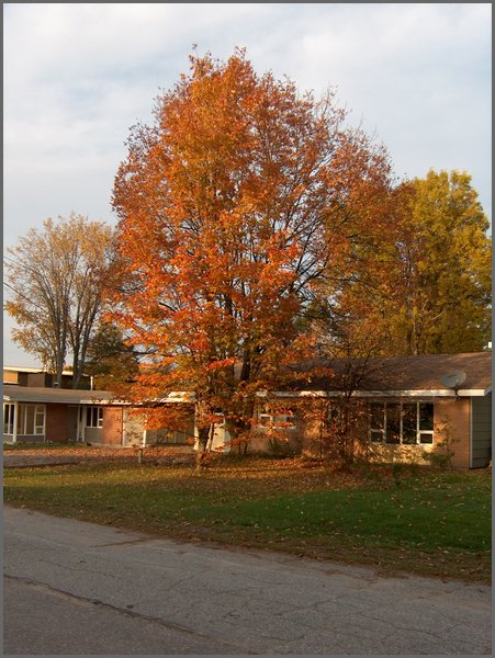 Powassan Oct 2006 30.jpg