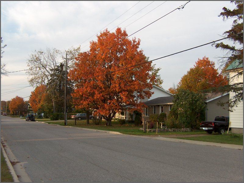 Powassan Oct 2006 36.jpg