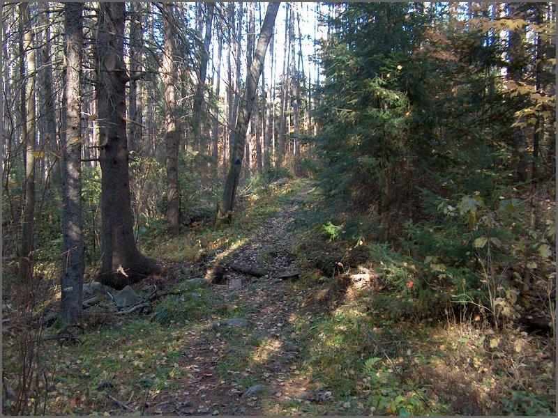 October 2006 - 104.JPG