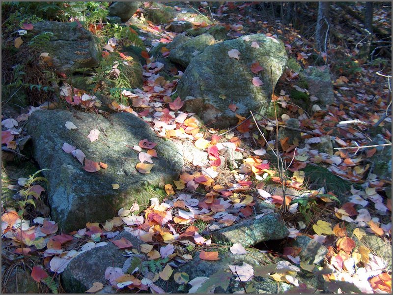 October 2006 - 108.JPG