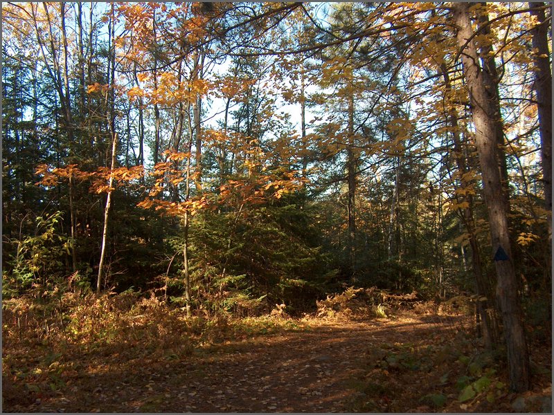 October 2006 - 114.JPG