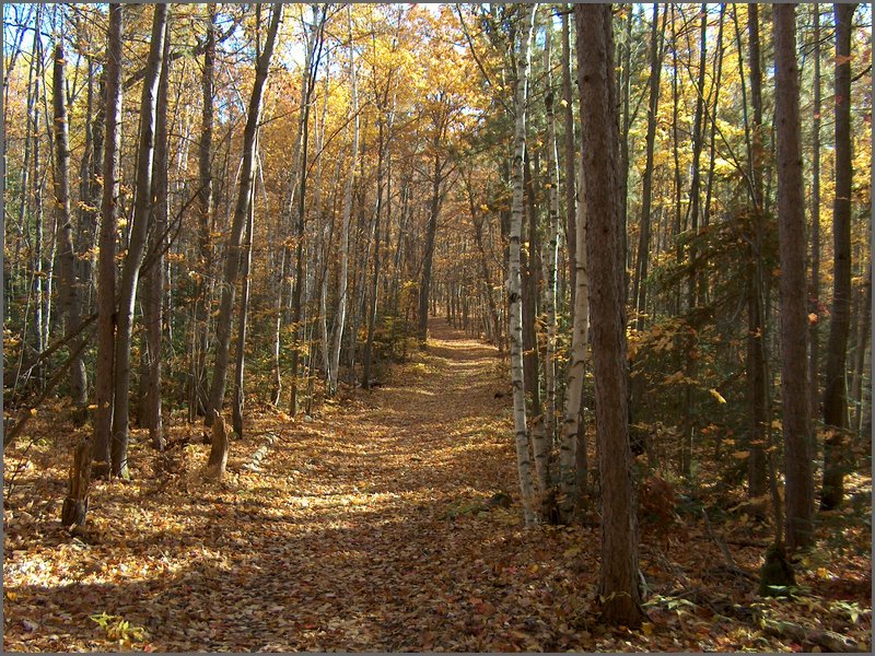 October 2006 - 119.JPG