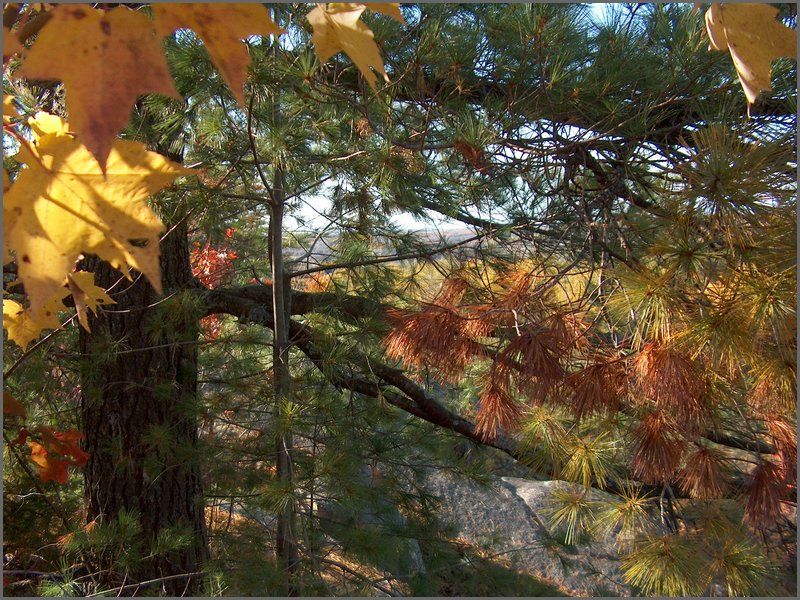 October 2006 - 135.JPG