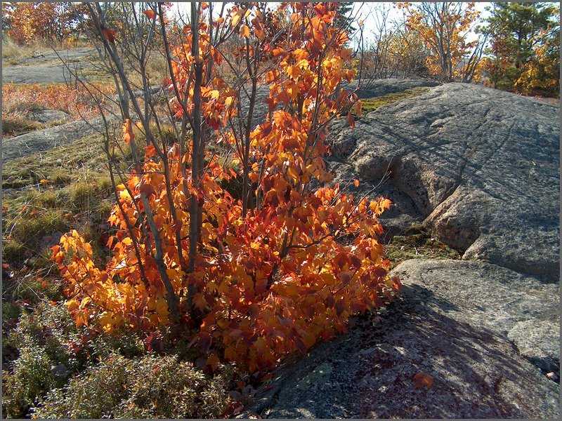 October 2006 - 140.JPG