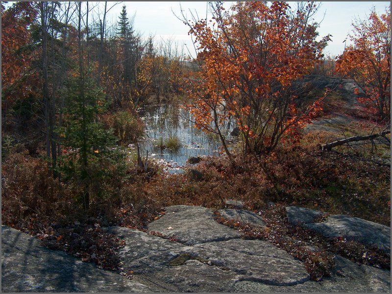 October 2006 - 145.JPG