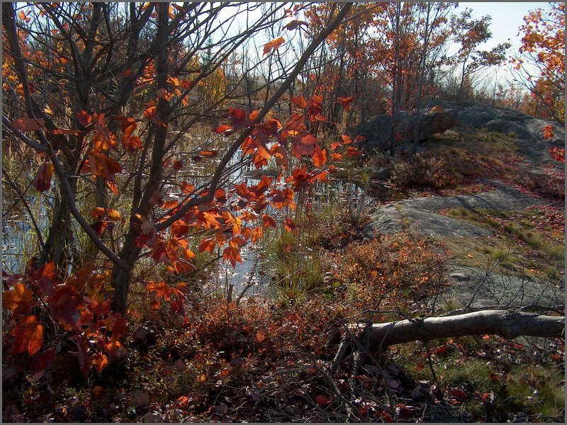 October 2006 - 147.JPG