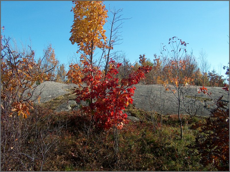 October 2006 - 156.JPG
