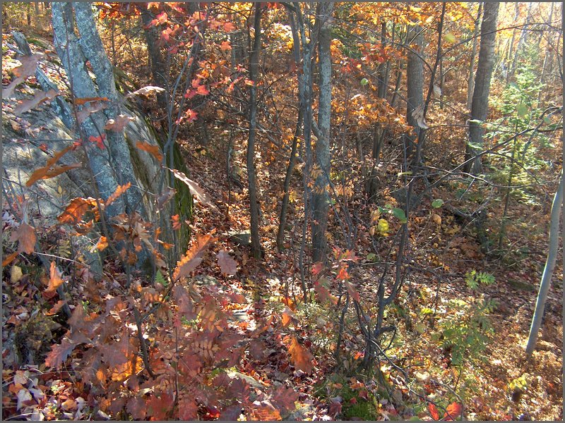 October 2006 - 180.JPG